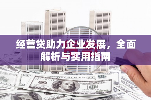 佛坪经营贷助力企业发展，全面解析与实用指南