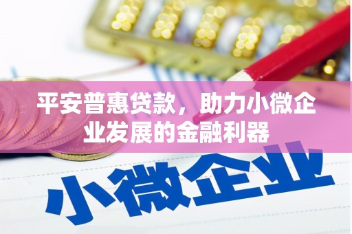佛坪平安普惠贷款，助力小微企业发展的金融利器