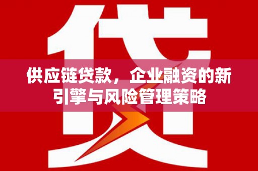 佛坪供应链贷款，企业融资的新引擎与风险管理策略