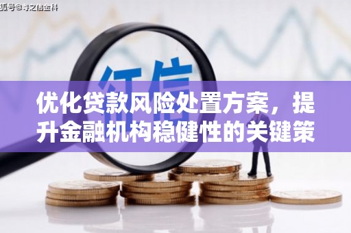 佛坪优化贷款风险处置方案，提升金融机构稳健性的关键策略