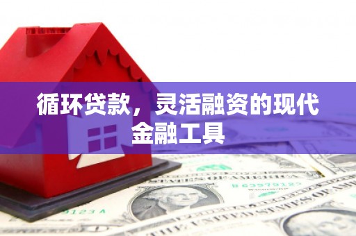 佛坪循环贷款，灵活融资的现代金融工具