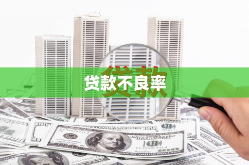 佛坪贷款不良率