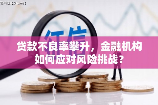 佛坪贷款不良率攀升，金融机构如何应对风险挑战？