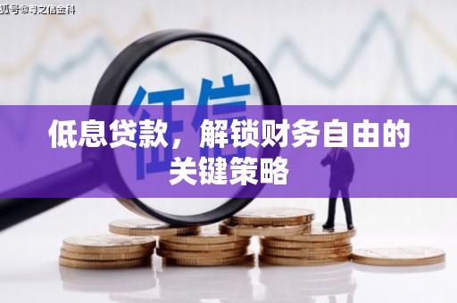 佛坪低息贷款，解锁财务自由的关键策略
