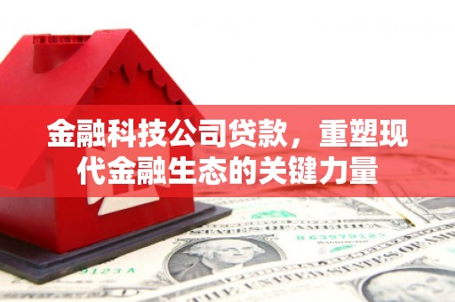佛坪金融科技公司贷款，重塑现代金融生态的关键力量