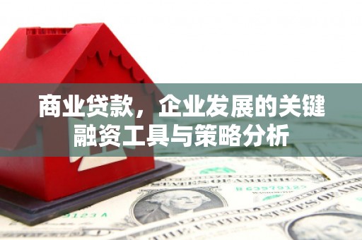 佛坪商业贷款，企业发展的关键融资工具与策略分析