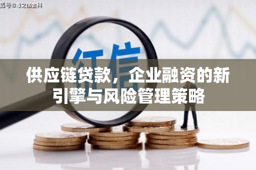 佛坪供应链贷款，企业融资的新引擎与风险管理策略