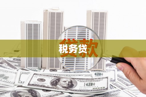 佛坪税务贷