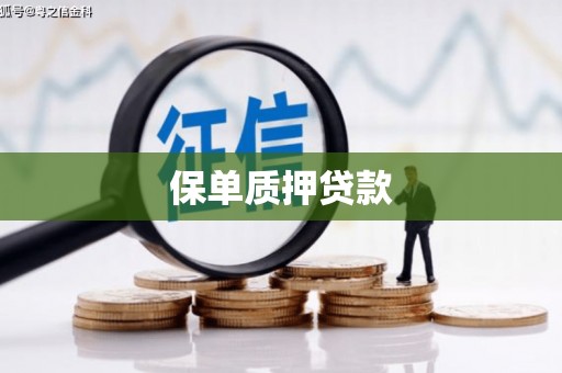 佛坪保单质押贷款