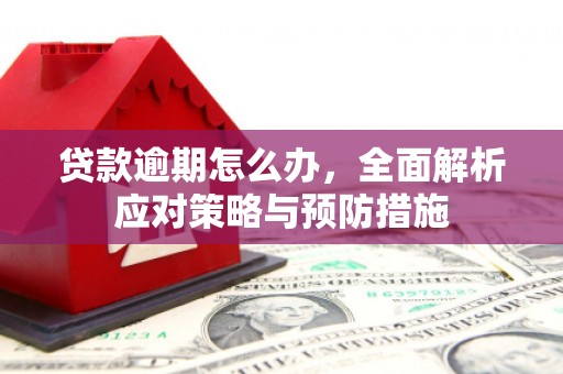 佛坪贷款逾期怎么办，全面解析应对策略与预防措施