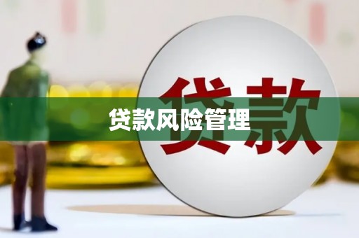 佛坪贷款风险管理