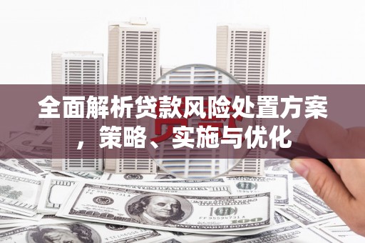 佛坪全面解析贷款风险处置方案，策略、实施与优化