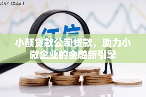 佛坪小额贷款公司贷款，助力小微企业的金融新引擎