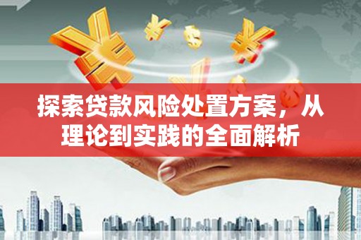 佛坪探索贷款风险处置方案，从理论到实践的全面解析