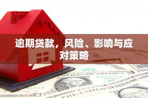 佛坪逾期贷款，风险、影响与应对策略