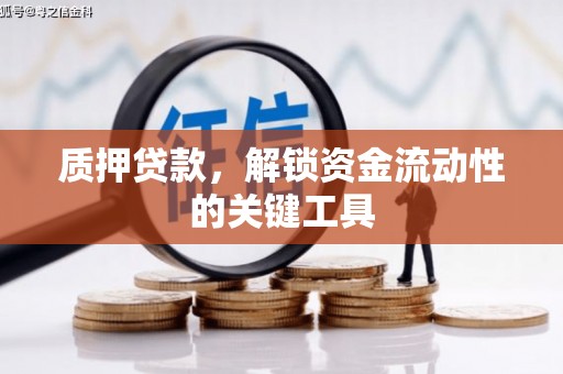 佛坪质押贷款，解锁资金流动性的关键工具