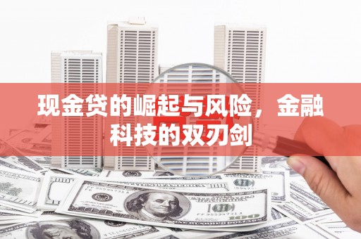 佛坪现金贷的崛起与风险，金融科技的双刃剑