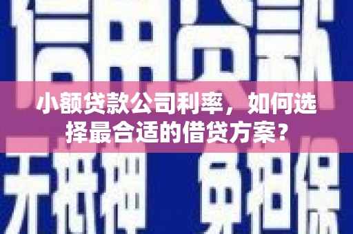 佛坪小额贷款公司利率，如何选择最合适的借贷方案？
