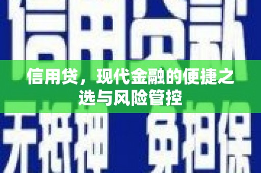 佛坪信用贷，现代金融的便捷之选与风险管控