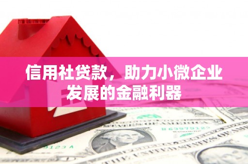 佛坪信用社贷款，助力小微企业发展的金融利器