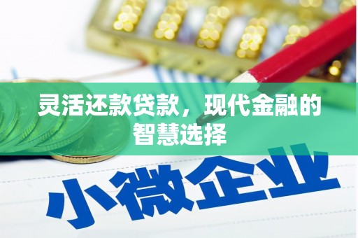 佛坪灵活还款贷款，现代金融的智慧选择