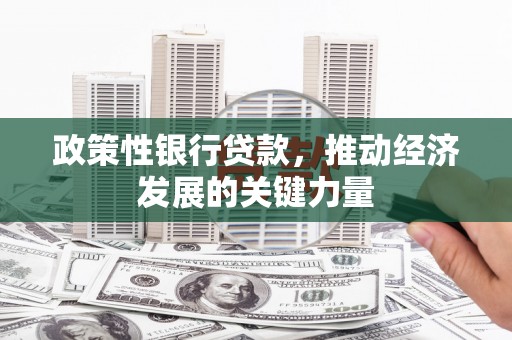 佛坪政策性银行贷款，推动经济发展的关键力量