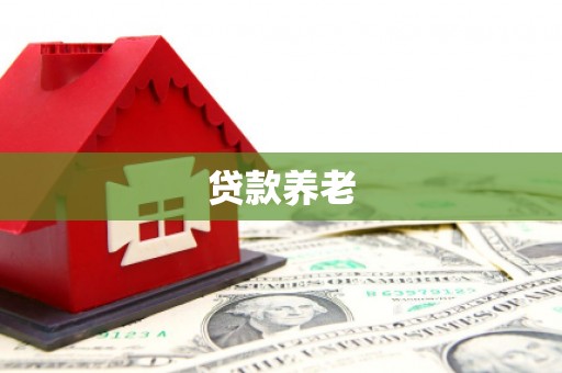 佛坪贷款养老