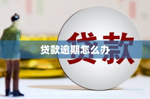 佛坪贷款逾期怎么办
