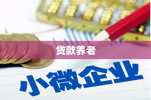 佛坪贷款养老