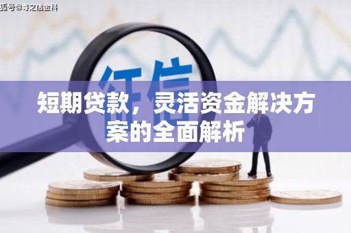 佛坪短期贷款，灵活资金解决方案的全面解析
