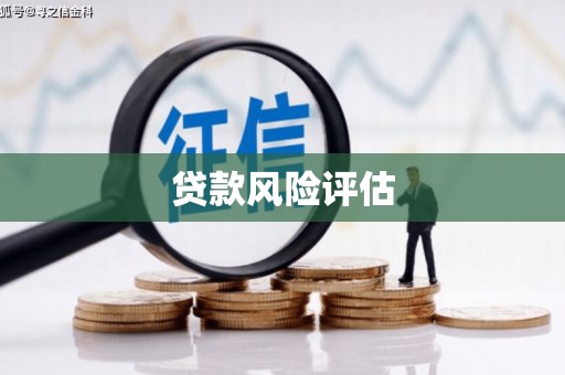 佛坪贷款风险评估