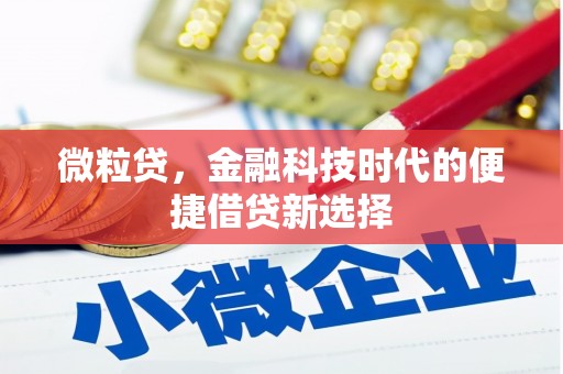 佛坪微粒贷，金融科技时代的便捷借贷新选择