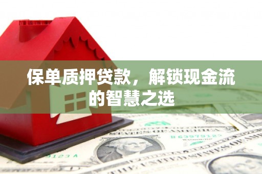 佛坪保单质押贷款，解锁现金流的智慧之选