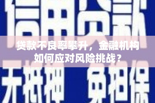 佛坪贷款不良率攀升，金融机构如何应对风险挑战？