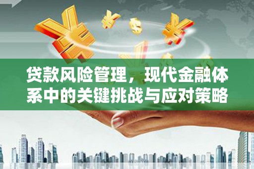 佛坪贷款风险管理，现代金融体系中的关键挑战与应对策略
