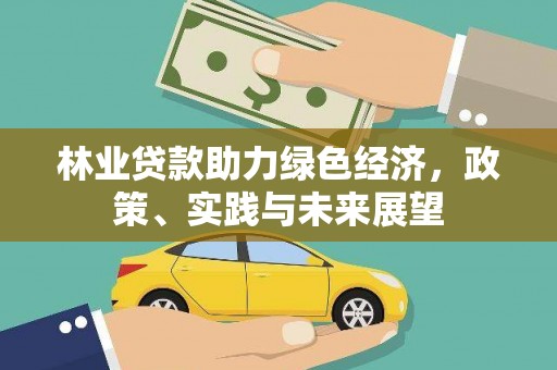 佛坪林业贷款助力绿色经济，政策、实践与未来展望