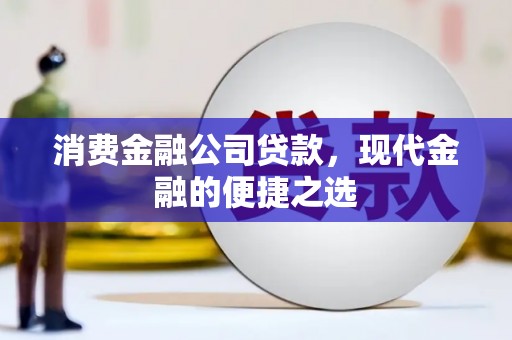 佛坪消费金融公司贷款，现代金融的便捷之选