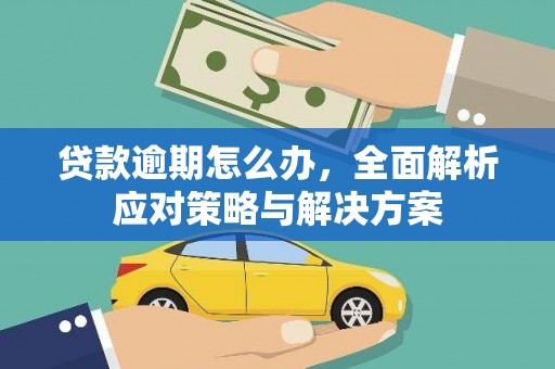 佛坪贷款逾期怎么办，全面解析应对策略与解决方案