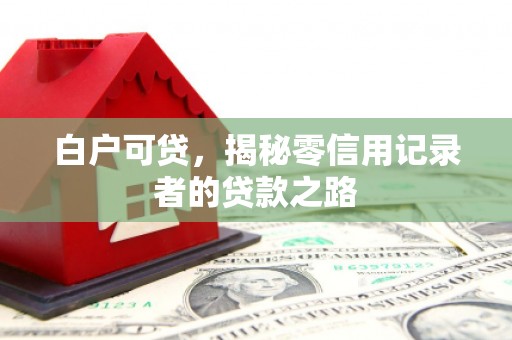 佛坪白户可贷，揭秘零信用记录者的贷款之路