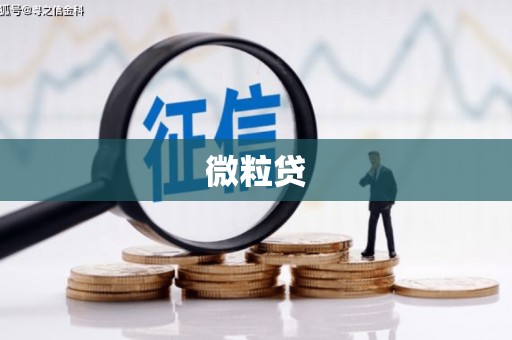 佛坪微粒贷