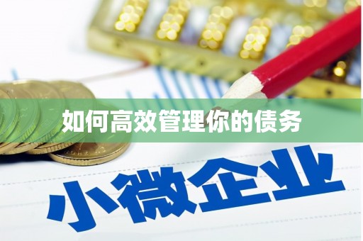 佛坪如何高效管理你的债务