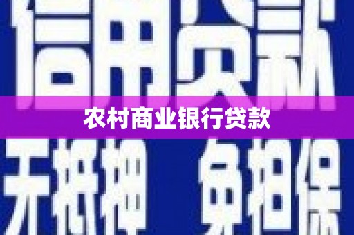 佛坪农村商业银行贷款