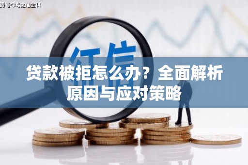 佛坪贷款被拒怎么办？全面解析原因与应对策略