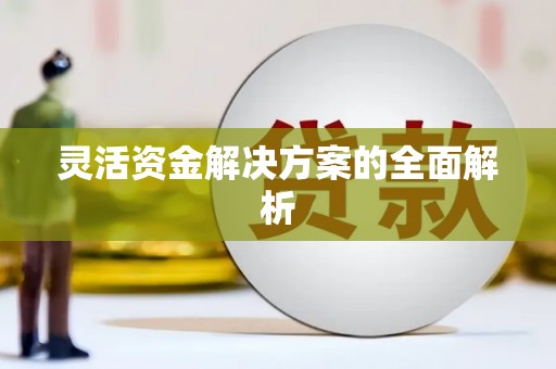 佛坪灵活资金解决方案的全面解析