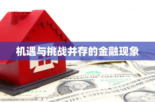 佛坪机遇与挑战并存的金融现象